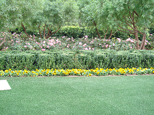 Seasonal Planting